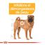 Royal Canin - Croquettes Medium Dermacomfort pour Chien - 3Kg Indicateur image numéro 3