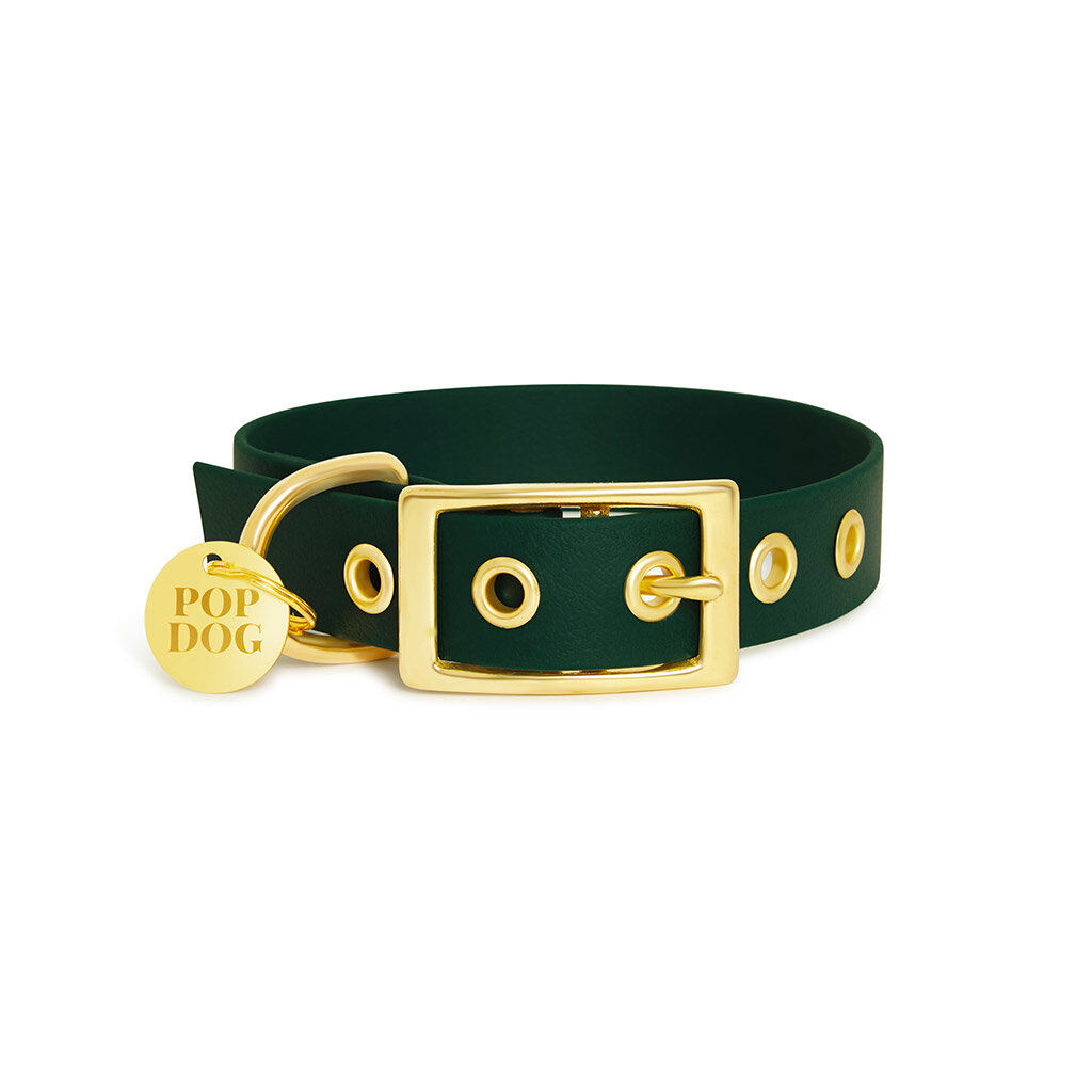 Pop Dog - Collier A  1/4 Illet El&eacute;gant Vert pour Chien - XS Image num&eacute;ro 2