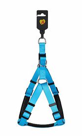 Animalis - Harnais Basic Confort pour Chien - Bleu