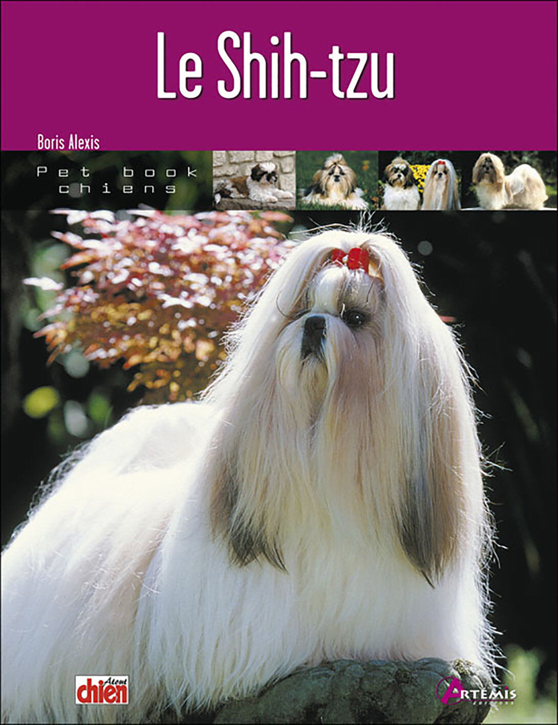 Art&eacute;mis - Le Shih-Tzu Image num&eacute;ro 1
