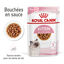 Royal Canin - Kitten Second Age Bouch&eacute;es en Sauce pour Chaton de 4 &agrave; 12 Mois - 12x85g Indicateur image num&eacute;ro 1