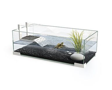 Ciano - Bac à Tortues Tartarium 60 New en Verre pour Tortues