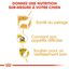 Royal Canin - Croquettes Yorkshire Terrier pour Chien Adulte - 3Kg Indicateur image numéro 5