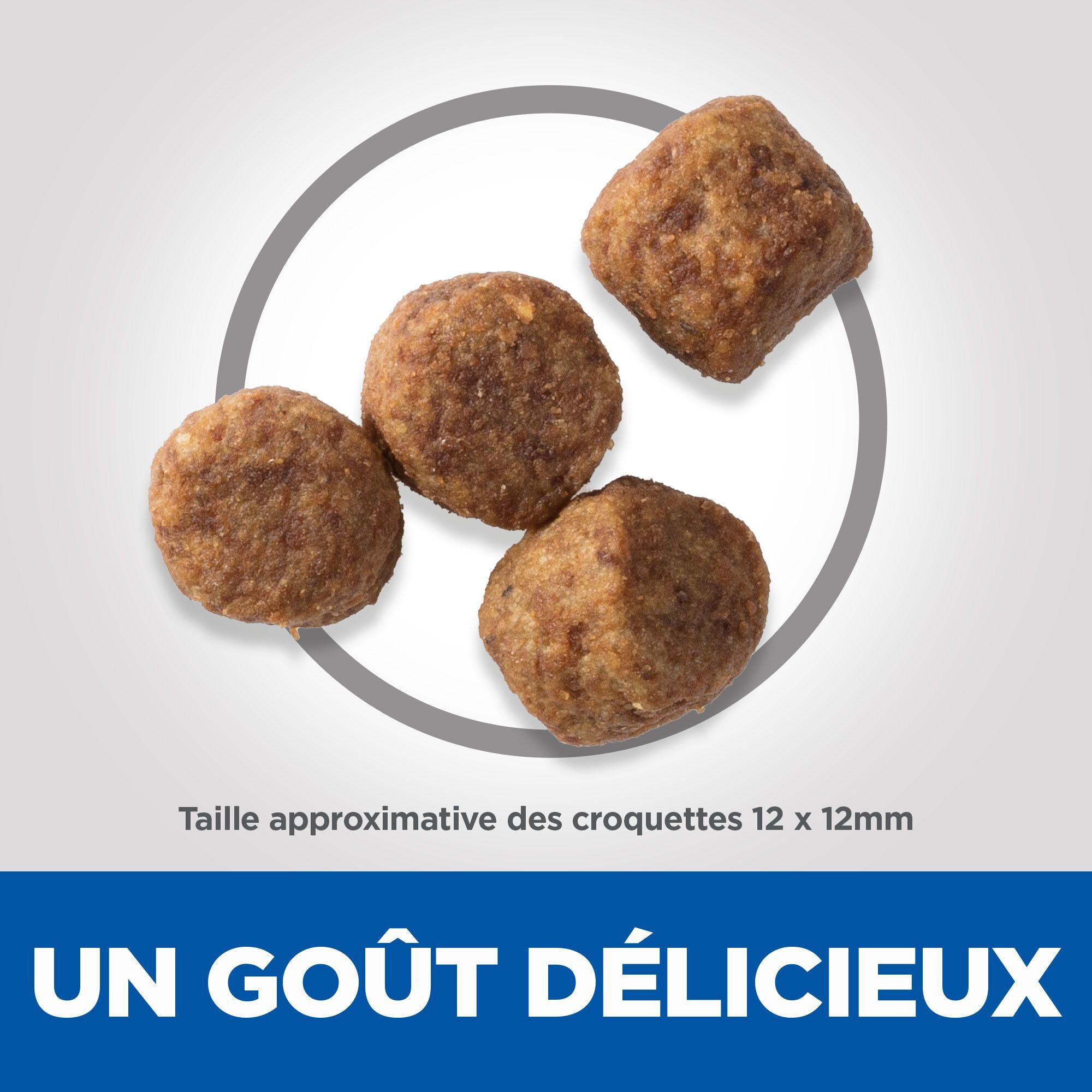 Hill's Science Plan - Mature Adult Light Croquettes Pour Chien Ag&eacute; Au Poulet  - 12kg Image num&eacute;ro 4