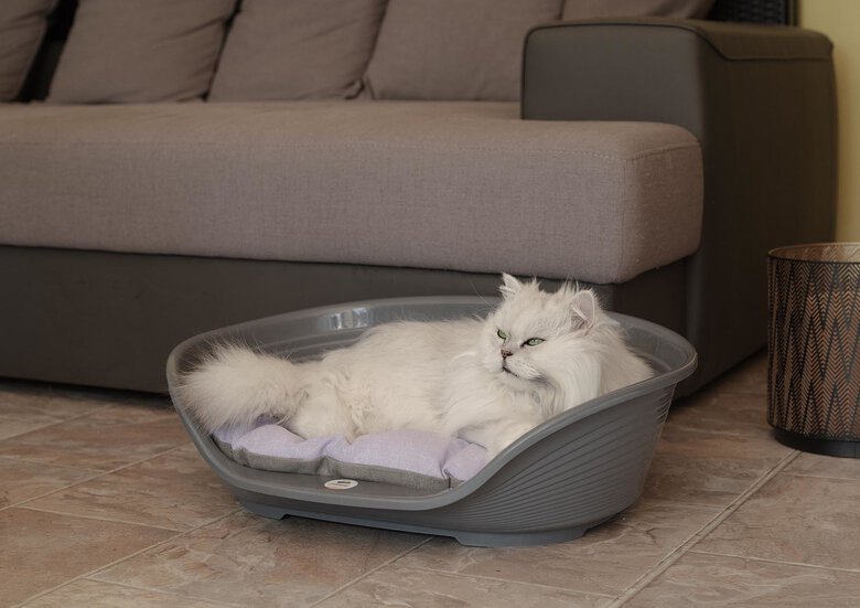 Ferplast - Corbeille Siesta Deluxe 4 Dark Grey pour Chiens Image numéro 4 Ferplast - Corbeille Siesta Deluxe 4 Dark Grey pour Chiens Image numéro 4