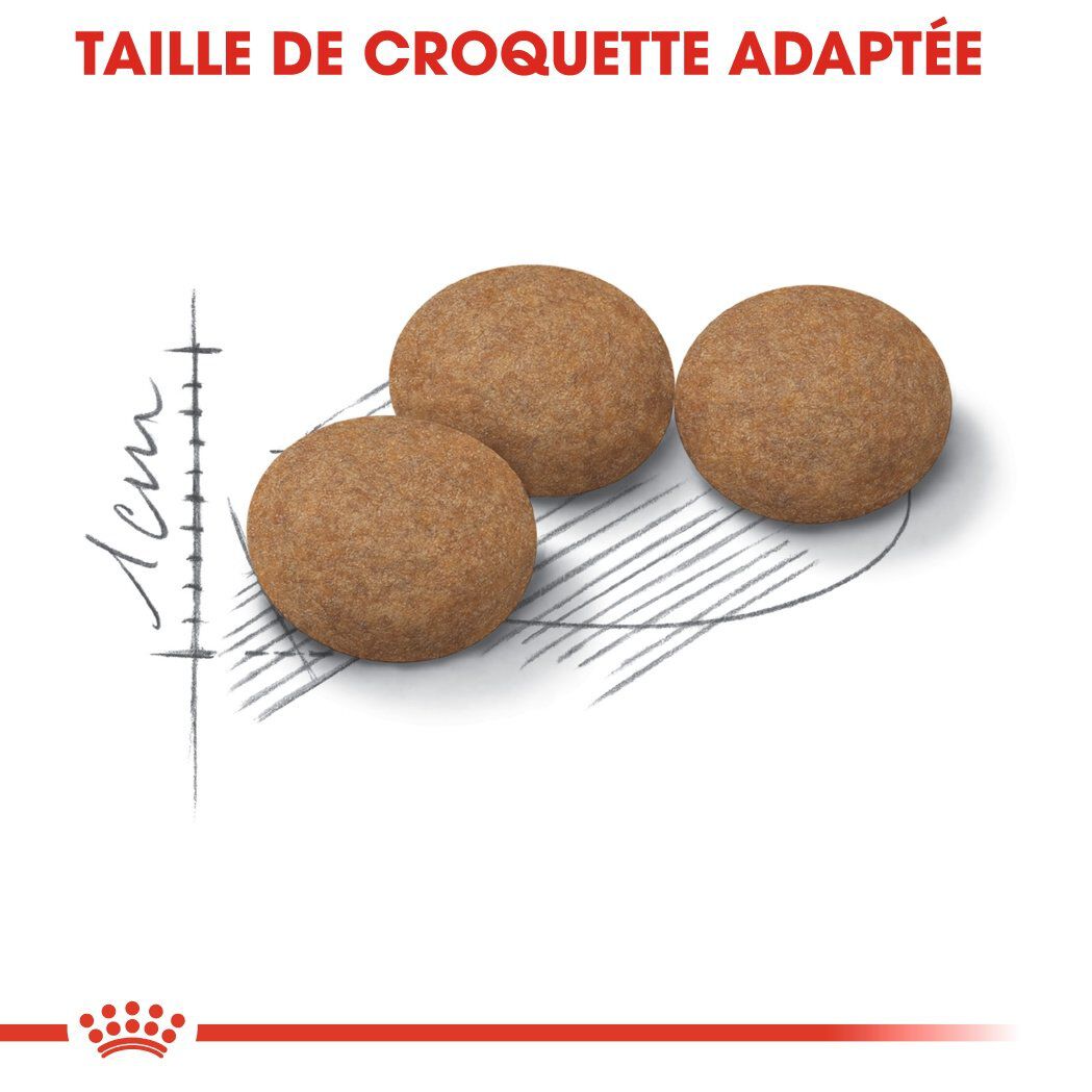 Royal Canin - Croquettes Senior Sterilised 12+ pour Chat Senior - 4Kg Image num&eacute;ro 5
