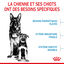 Royal Canin - Croquettes Starter Mother & Babydog Maxi - 4Kg Indicateur image numéro 3