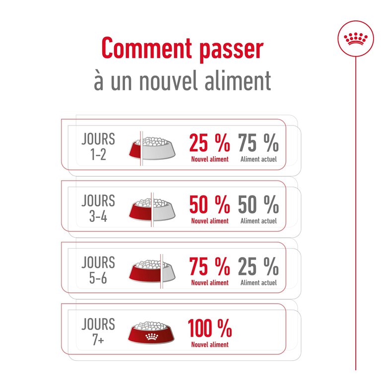 Royal Canin -  Croquettes X SMALL ADULT CHIEN DE TRES PETITE TAILLE - 500G Image numéro 9 Royal Canin -  Croquettes X SMALL ADULT CHIEN DE TRES PETITE TAILLE - 500G Image numéro 9