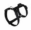 Animalis - Harnais Basic Noir pour Chien - T0 Indicateur image numéro 1