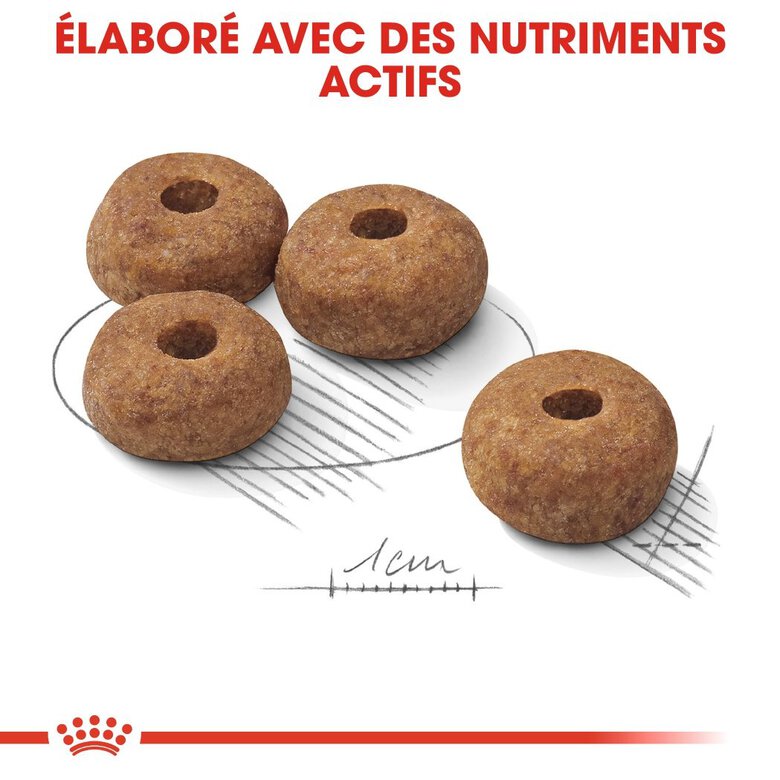 Royal Canin - Croquettes Medium Sterilised pour Chien Stérilisé - 3Kg Image numéro 5 Royal Canin - Croquettes Medium Sterilised pour Chien Stérilisé - 3Kg Image numéro 5