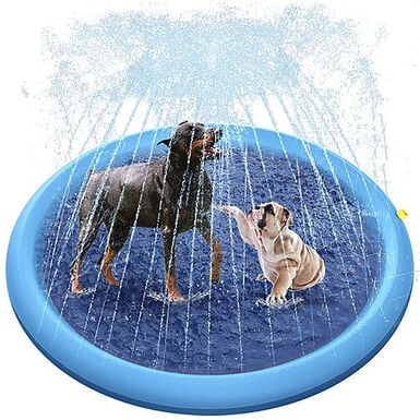 Summer Vibes - Tapis à Jet Bleu pour Chiens - 24,50cm