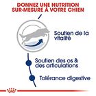Royal Canin - Croquettes Maxi Adulte 5+ pour Chien Adulte - 15Kg image number null