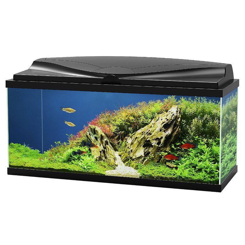 Ciano - Aquarium 80 LED Noir - 80X30X41,5CM Image numéro 5 Ciano - Aquarium 80 LED Noir - 80X30X41,5CM Image numéro 5