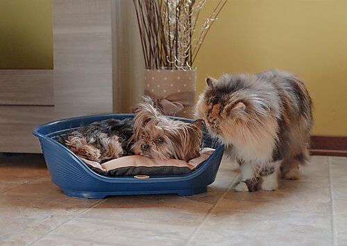 Ferplast - Corbeille Siesta Deluxe 2 Bleu pour Chats Image num&eacute;ro 3