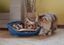Ferplast - Corbeille Siesta Deluxe 2 Bleu pour Chats Indicateur image num&eacute;ro 3