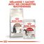 Royal Canin - Croquettes Senior Sterilised 12+ pour Chat Senior - 2 Kg Indicateur image numéro 7