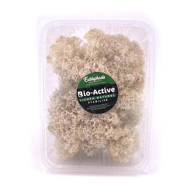Eublepharis - Lichen Stabilisé Naturel pour Reptiles