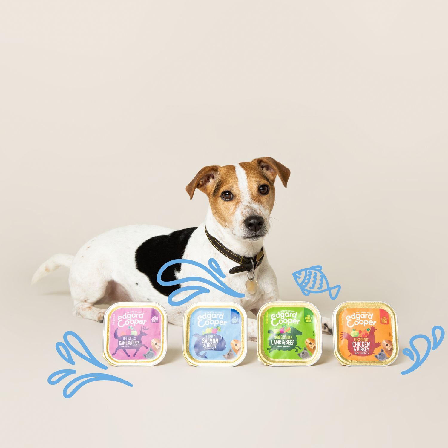 Edgard & Cooper - Barquette au Poulet et Dinde pour Chien - 150g Image num&eacute;ro 3