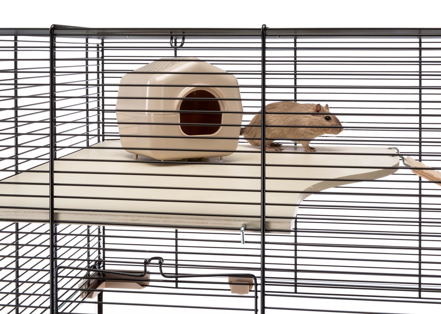 Ferplast - Cage Karat 80 pour Petits Rongeurs - 45x78x52cm Image num&eacute;ro 4