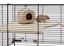 Ferplast - Cage Karat 80 pour Petits Rongeurs - 45x78x52cm Indicateur image numéro 4