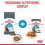Royal Canin - Sachets Urinary Care en Sauce pour Chat - 12x85g Indicateur image numéro 3
