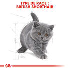 Royal Canin - Croquettes British Shorthair Kitten pour Chatons - 2Kg image number null