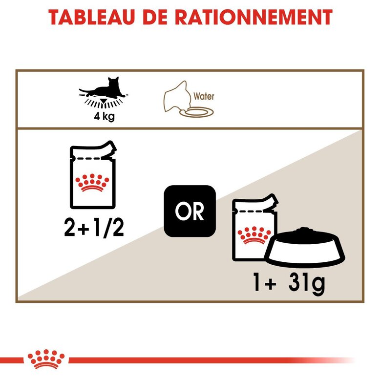 Royal Canin - Sachets Ageing 12+ en Sauce pour Chat - 12x85g Image numéro 5 Royal Canin - Sachets Ageing 12+ en Sauce pour Chat - 12x85g Image numéro 5