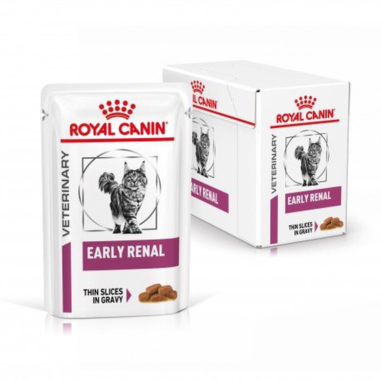 Royal Canin - Sachets Veterinary Iearly Renal pour Chats - 12x85g image number null