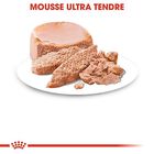 Royal Canin - Boîte Starter Mousse Mother & Babydog en Patée pour Chien - 195g image number null