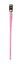 Animalis - Laisse Basic Rose pour Chien - 25mm et 100cm Indicateur image num&eacute;ro 2