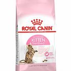 Royal Canin - Croquettes Kitten Sterilised pour Chaton image number null