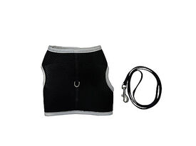 Gotoo - Set Essentiels pour Chat