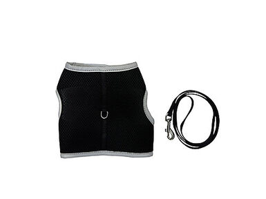 Gotoo - Set Essentiels pour Chat