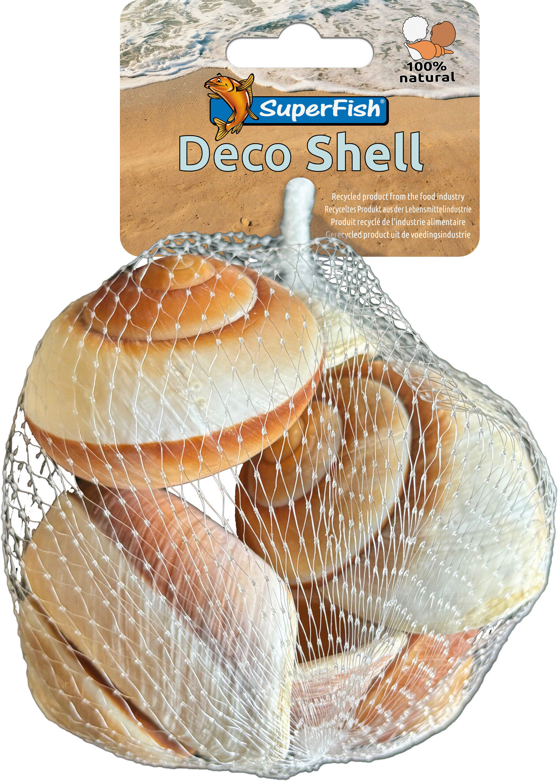 Superfish - Coquillage D&eacute;coratif Spirale Ray&eacute;e pour Aquarium - 200g Image num&eacute;ro 1