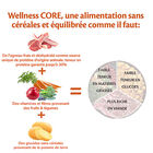 Wellness CORE - Croquettes à l'Agneau pour Chien de Toutes Races - 1,8Kg image number null
