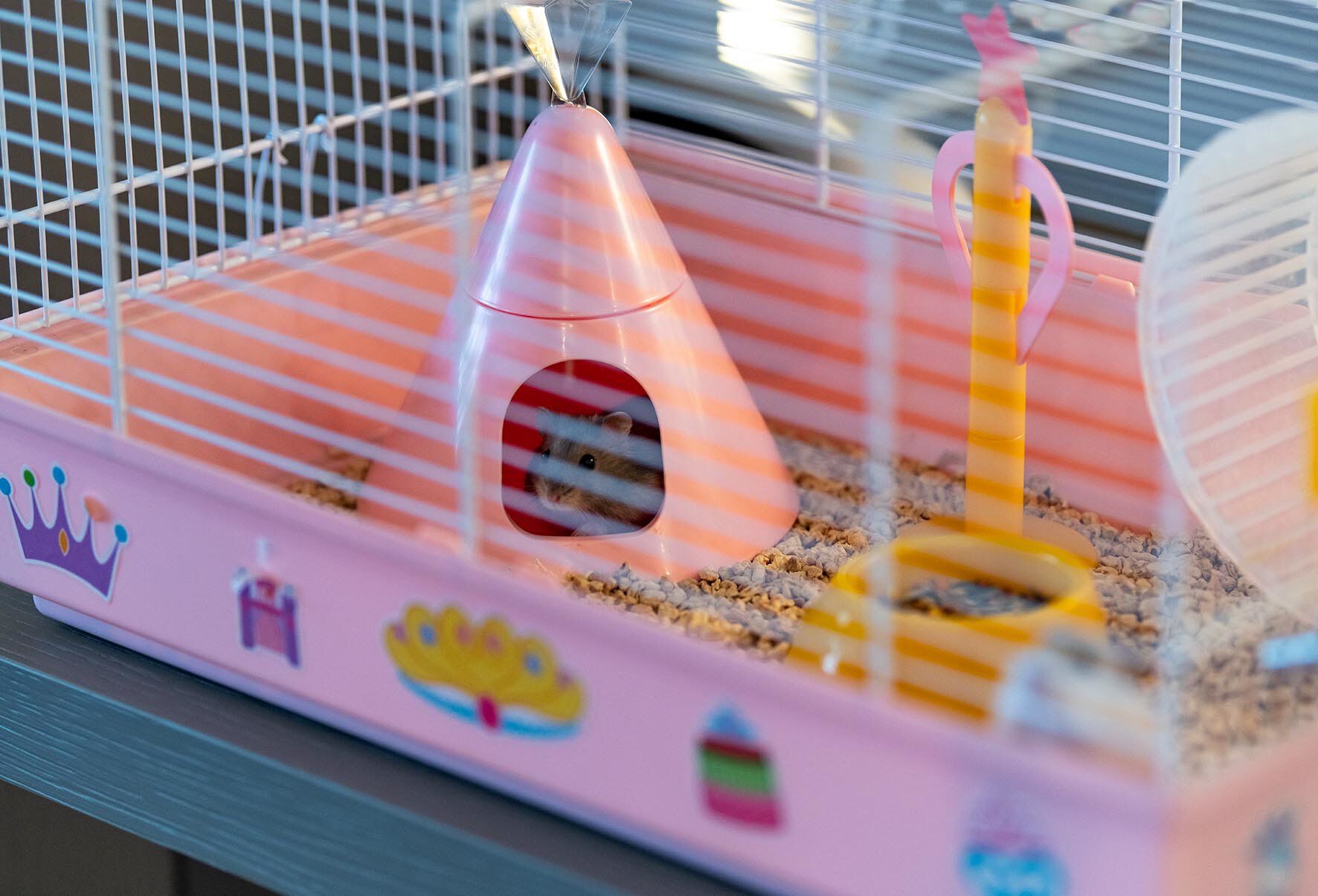 Ferplast - Cage Criceti 9 Princesse pour Hamsters Image num&eacute;ro 7