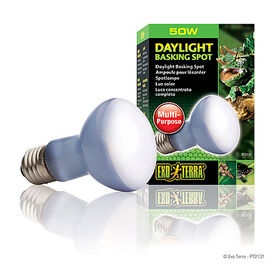 Exo Terra - Ampoule Daylight Basking Spot - 50W