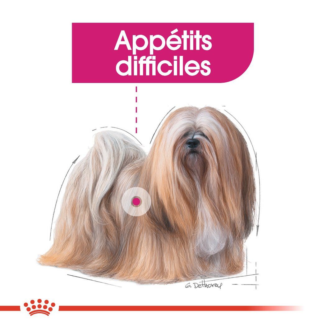 Royal Canin - Croquettes Mini Exigent pour Chien - 3Kg Image num&eacute;ro 3