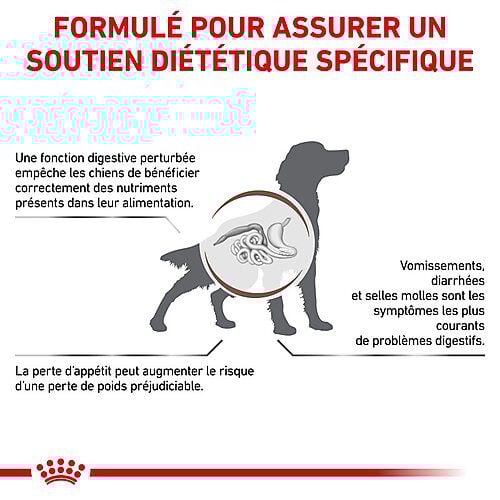 Royal Canin - Croquettes Veterinary Diet Gastro Intestinal pour Chien - 2Kg Image num&eacute;ro 3