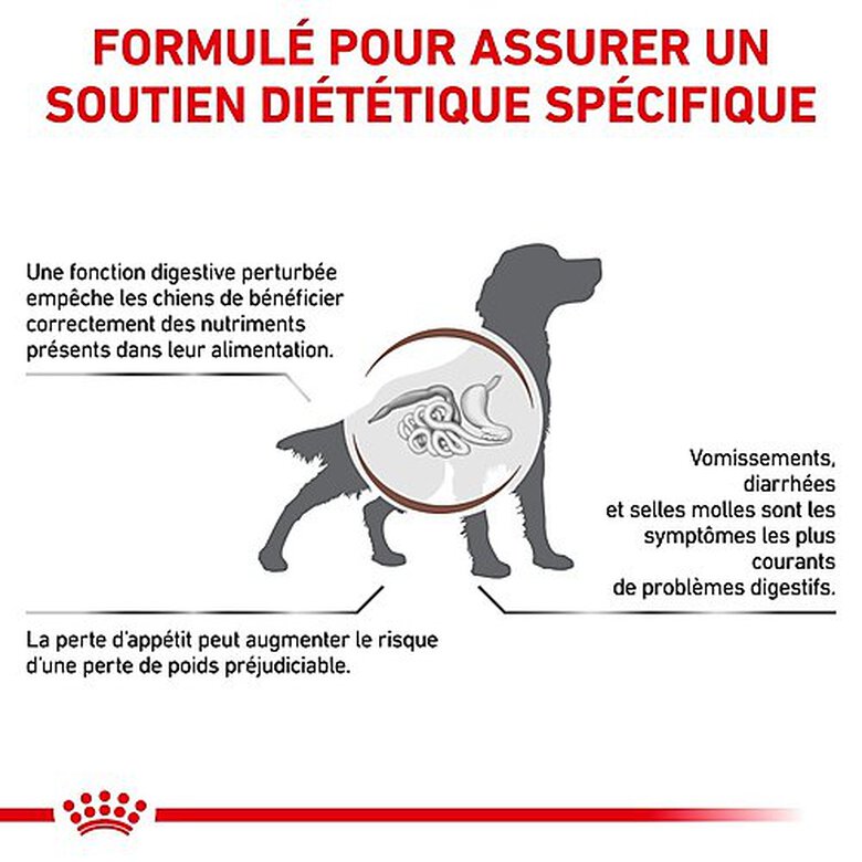 Royal Canin - Croquettes Veterinary Diet Gastro Intestinal pour Chien - 2Kg Image numéro 3 Royal Canin - Croquettes Veterinary Diet Gastro Intestinal pour Chien - 2Kg Image numéro 3