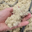 Eublepharis - Lichen Stabilisé Naturel pour Reptiles Indicateur image numéro 4