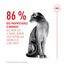 Royal Canin - Croquettes Fussy Exigent pour Chats Difficiles - 2Kg Indicateur image num&eacute;ro 8