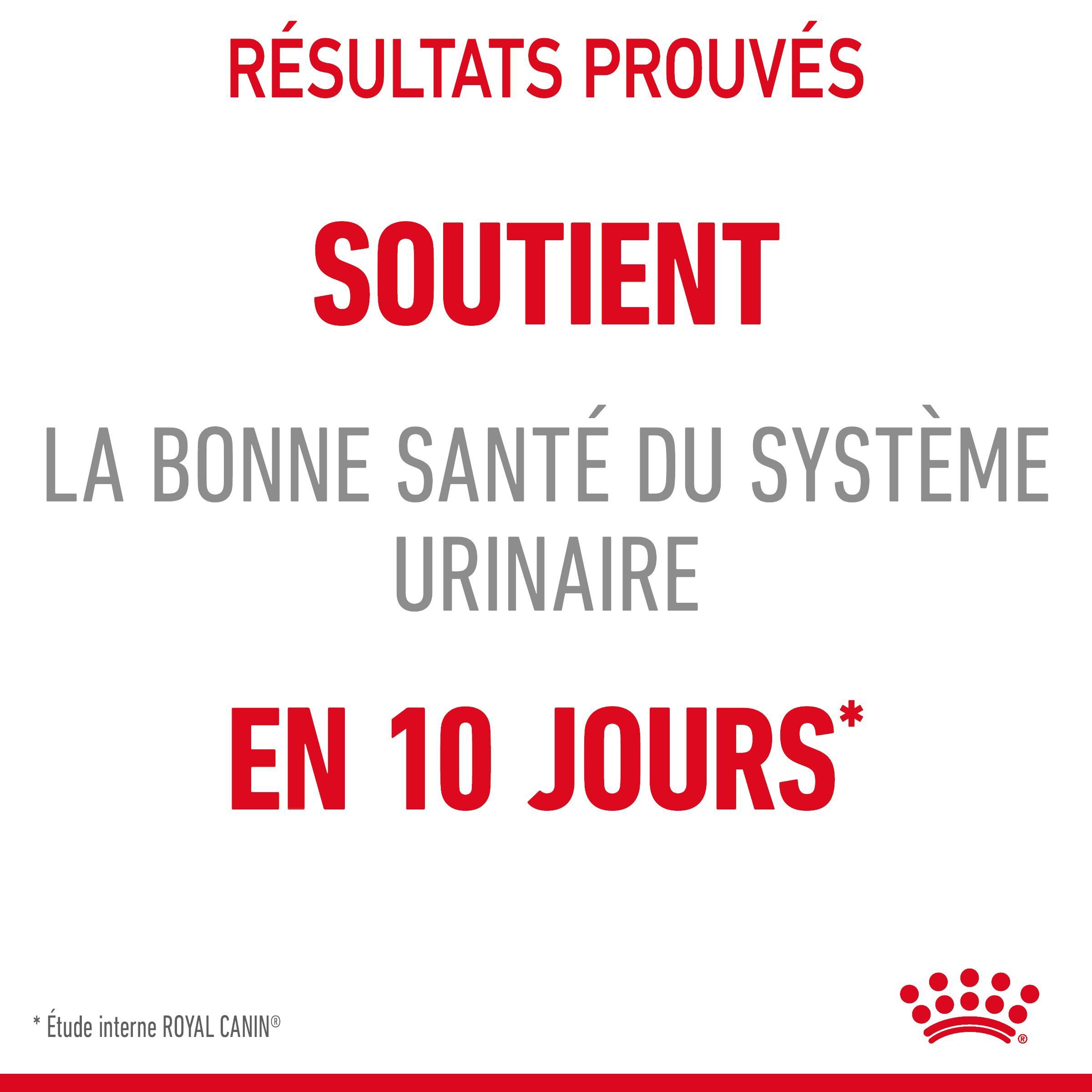 Royal Canin - Croquettes Urinary Care pour Chat - 4Kg Image num&eacute;ro 9
