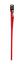 Animalis - Laisse Basic Confort Rouge pour Chien - 40mm et 50cm Indicateur image num&eacute;ro 1