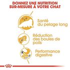 Royal Canin - Croquettes Persian pour Chat Adulte - 4Kg image number null