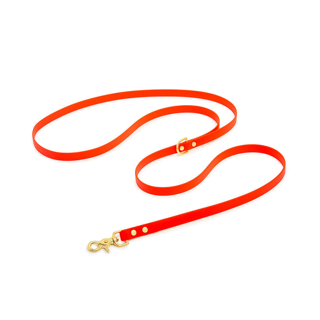 Pop Dog - Laisse Bandouli&egrave;re Foufou Orange pour Chien - XS/S Image num&eacute;ro 1