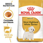 Royal Canin - Croquettes Westie Adult pour Chiens - 1,5Kg image number null
