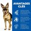 Hill's Science Plan - Mature Adult Croquettes Pour Grand Chien Agé Au Poulet  - 18kg Indicateur image numéro 3