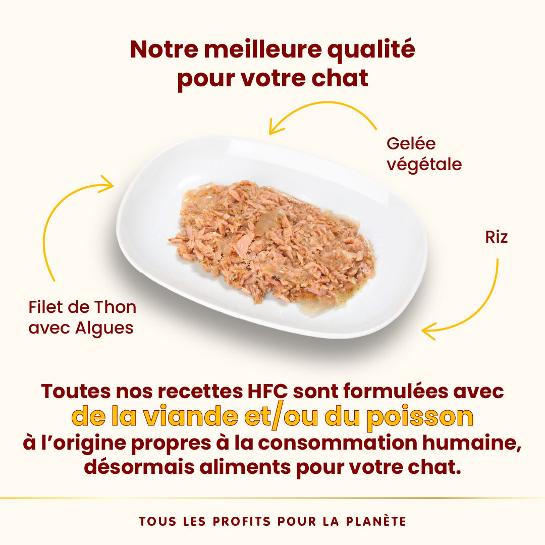 Almo Nature - P&acirc;t&eacute;e Hfc Jelly Filet De Thon Et Algues - 55g Image num&eacute;ro 3