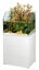 Eheim - Aquarium + Meuble Blanc Proxima Fauna - 113L Indicateur image numéro 1